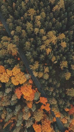 黑料不打烊最新地址入口截图1