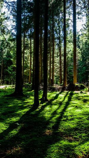 黑料不打烊入口地址截图1