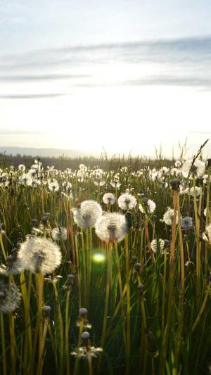 万里长征黑料正能量截图1