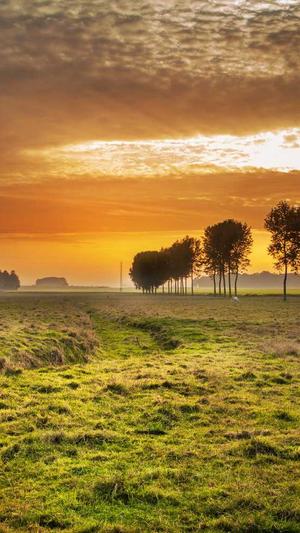 黑料不打烊tttzzz网页版截图4