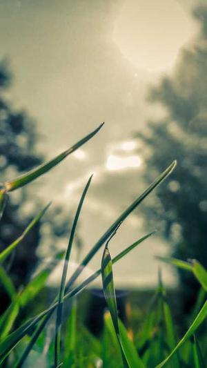 和田玉黑青料截图1