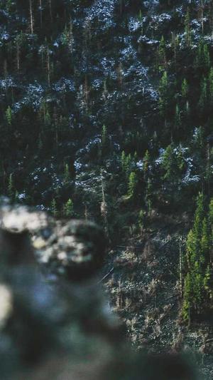 孕妇早期可以吃哈密瓜吗截图4