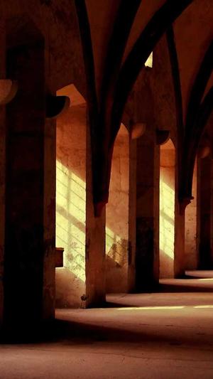 邓为家庭背景及黑料截图1