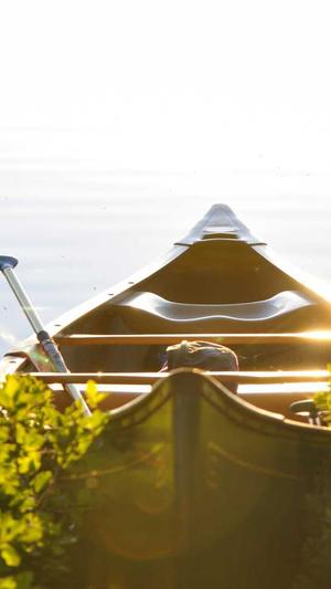 黑料爆料网截图3