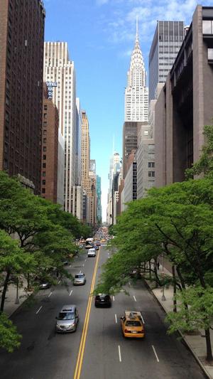 哈密瓜什么时候吃截图4