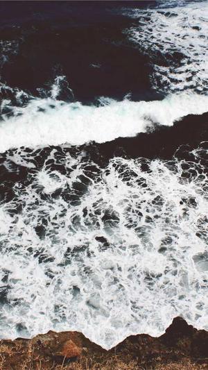 吃哈密瓜可以减肥吗截图1