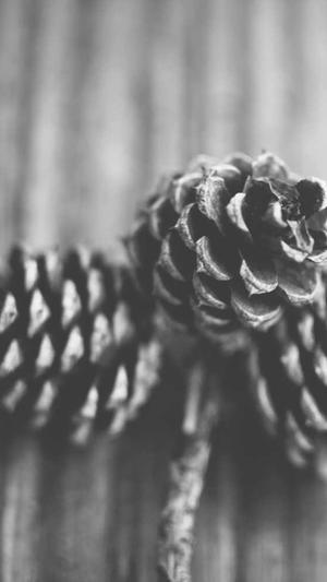 林彦俊黑料截图4