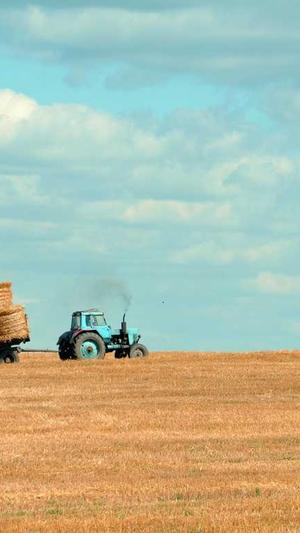 小孩可以吃哈密瓜吗截图3