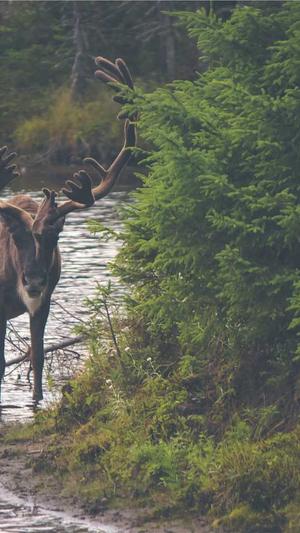 155.黑料网截图2