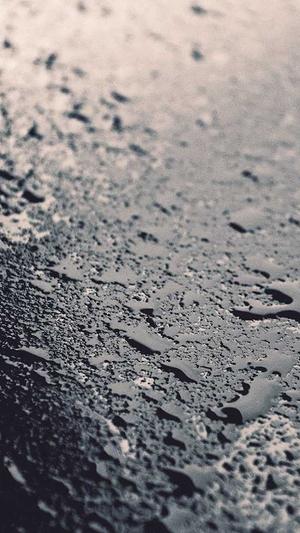 51fun吃瓜站朝阳截图1