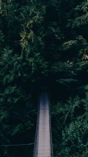 网络上吃瓜是什么意思截图4