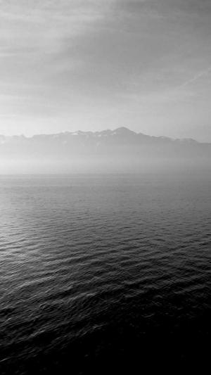 51吃瓜今日大瓜截图3