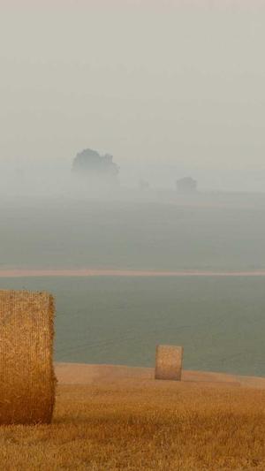 黑料网爆料吃瓜截图4