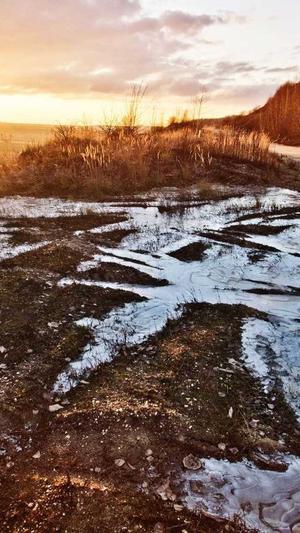 怀孕初期可吃哈密瓜吗截图2