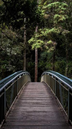 易烊千玺吃瓜的视频截图4