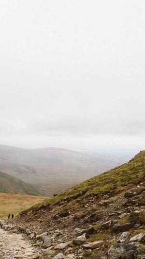 吃瓜落儿是什么意思截图1