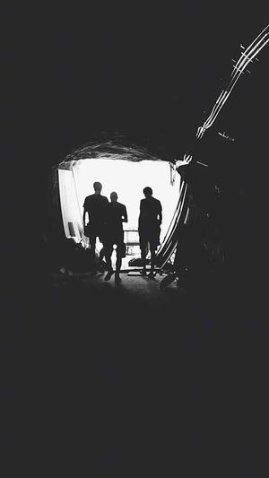 吃佛手瓜的大忌截图5