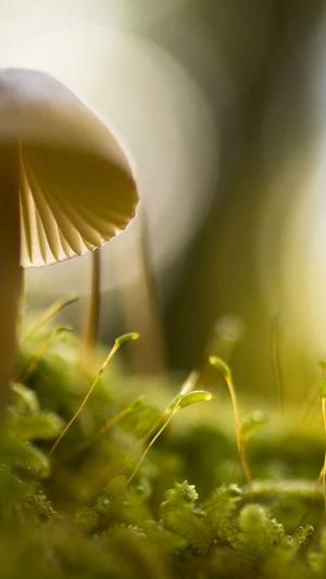 吃瓜网大本营截图2