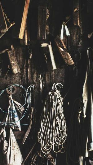 幸福一家人吃瓜的视频截图1