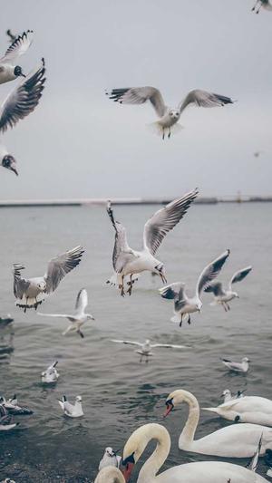 今日看料 黑料截图1