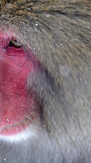 经常吃哈密瓜好不好截图3