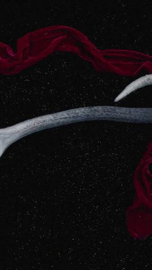 黑料正能量导航首页截图3