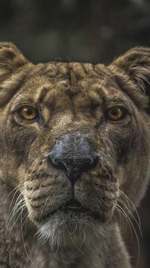 幸福一家人吃瓜的视频截图5