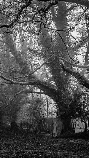 汪苏泷黑料截图5