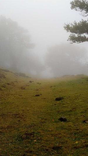 51吃瓜网在线网站截图2