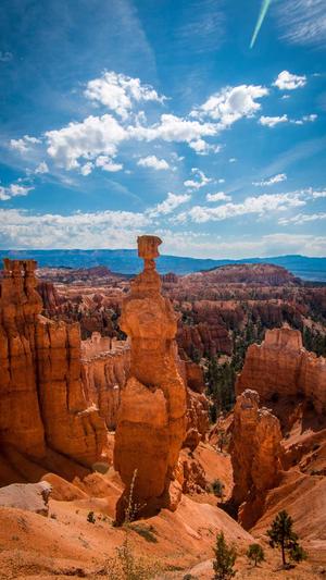 吃哈密瓜不能吃什么截图4