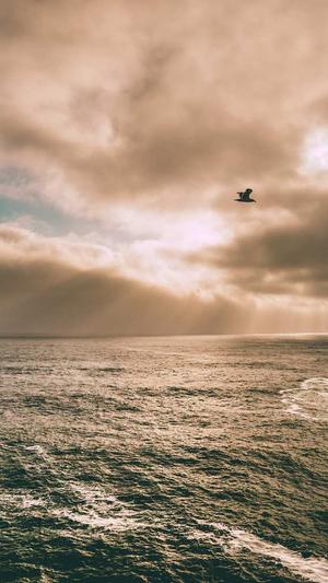 黑料传送门入口截图1