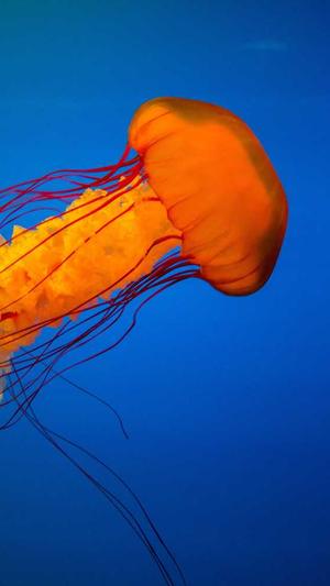 黑料不打烊zzzttt网页版截图1