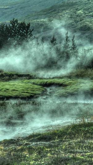 黑料在线观看截图5