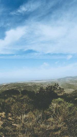 吃瓜战队图截图2