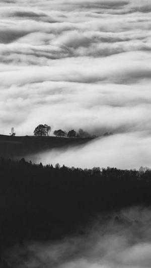 小孩吃哈密瓜会上火吗截图3