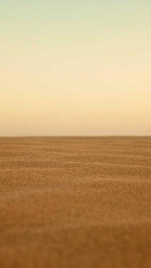 孕妇可以吃哈密瓜吗刚怀孕的孕妇截图1