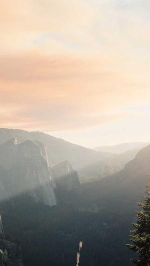 哈密瓜和酸奶可以一起吃吗截图1