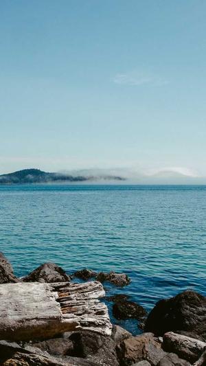 聚氨酯发泡黑料与白料截图3